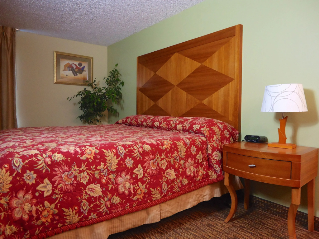 Standard Double room (full double bed)