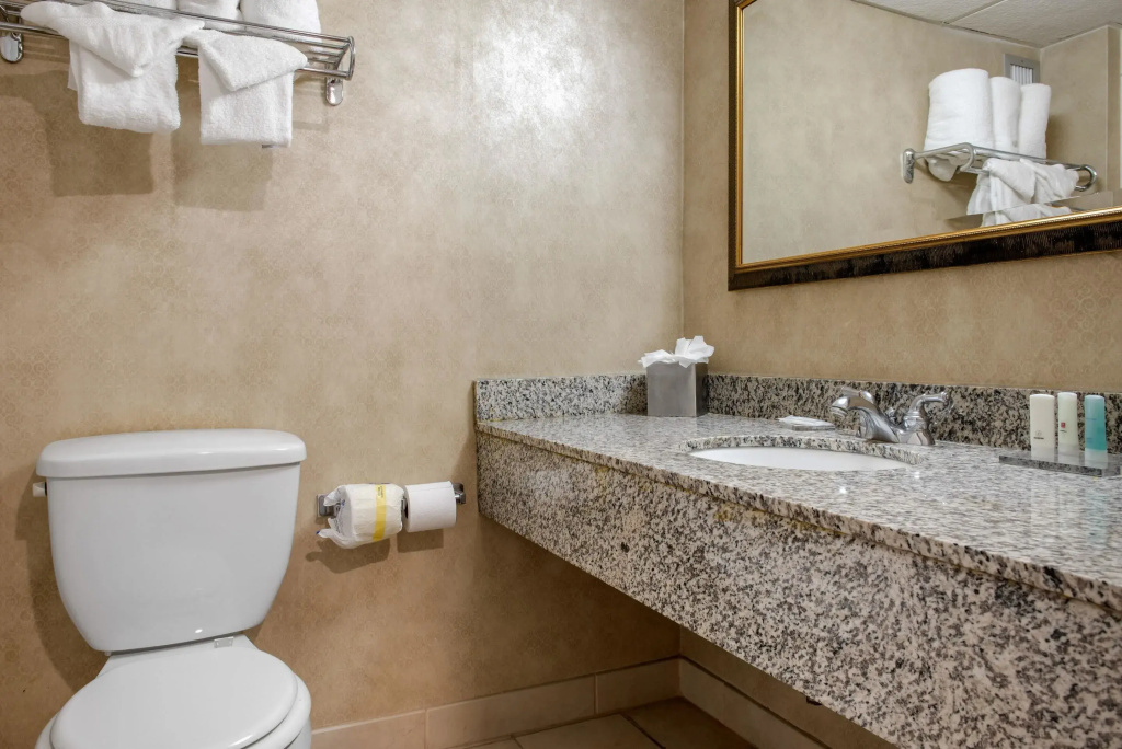 Clarion Hotel Airport - Chambres
