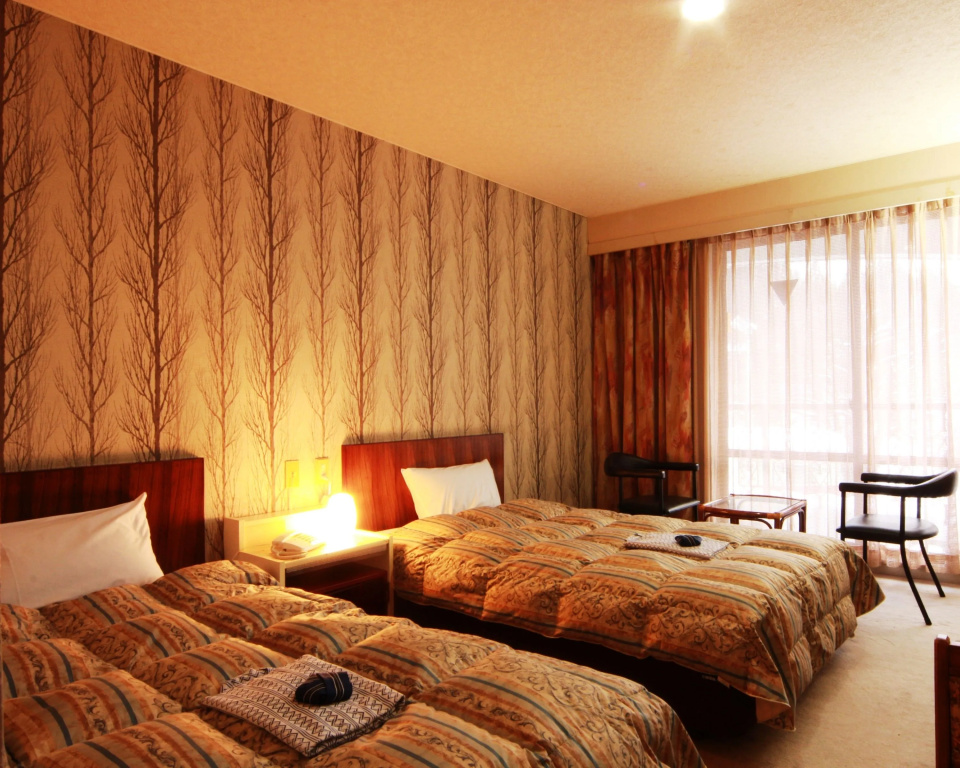 Standard Double room (twin beds)