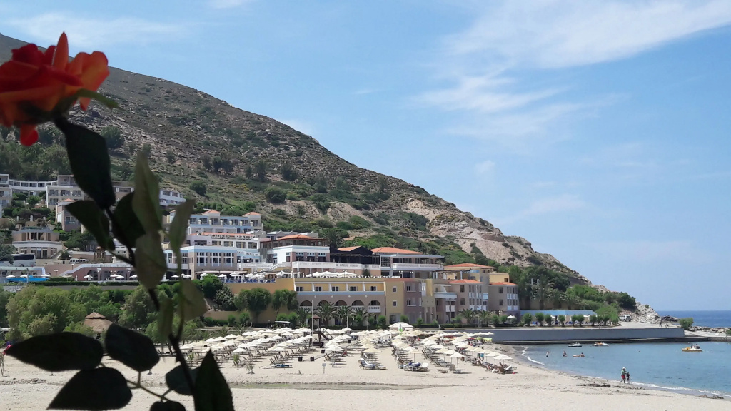 1 Bedroom Apartment beachfront