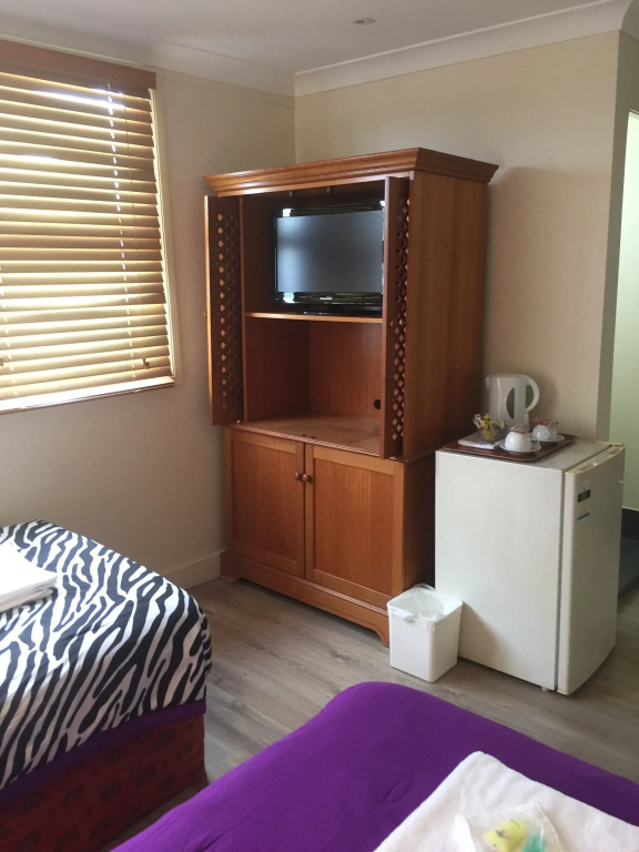 Standard Double room with city view (twin beds)