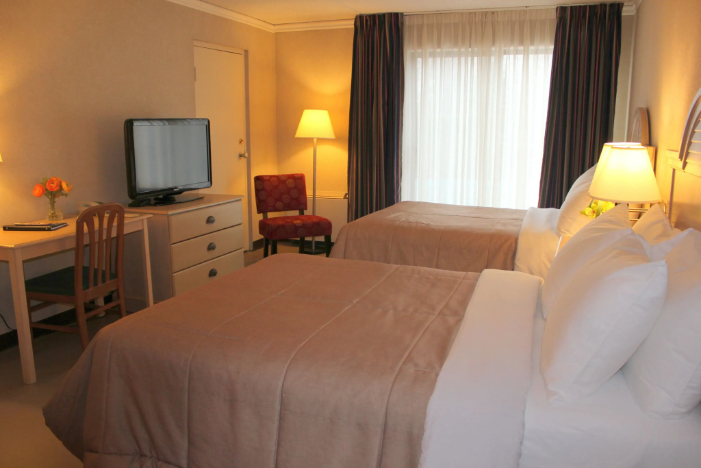 Economy Quadruple room with pool view
