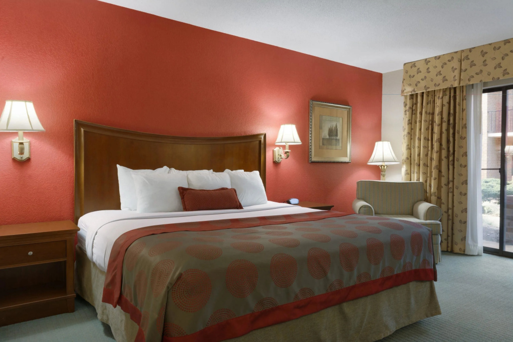 Standard Double room (full double bed)