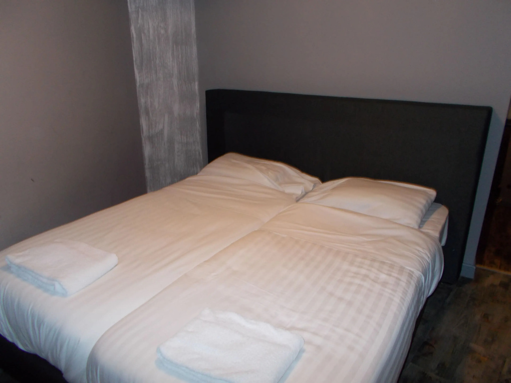 Standard Double room (twin beds)