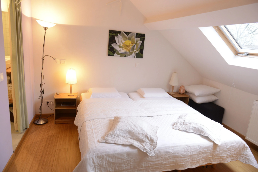Standard Double room (twin beds)
