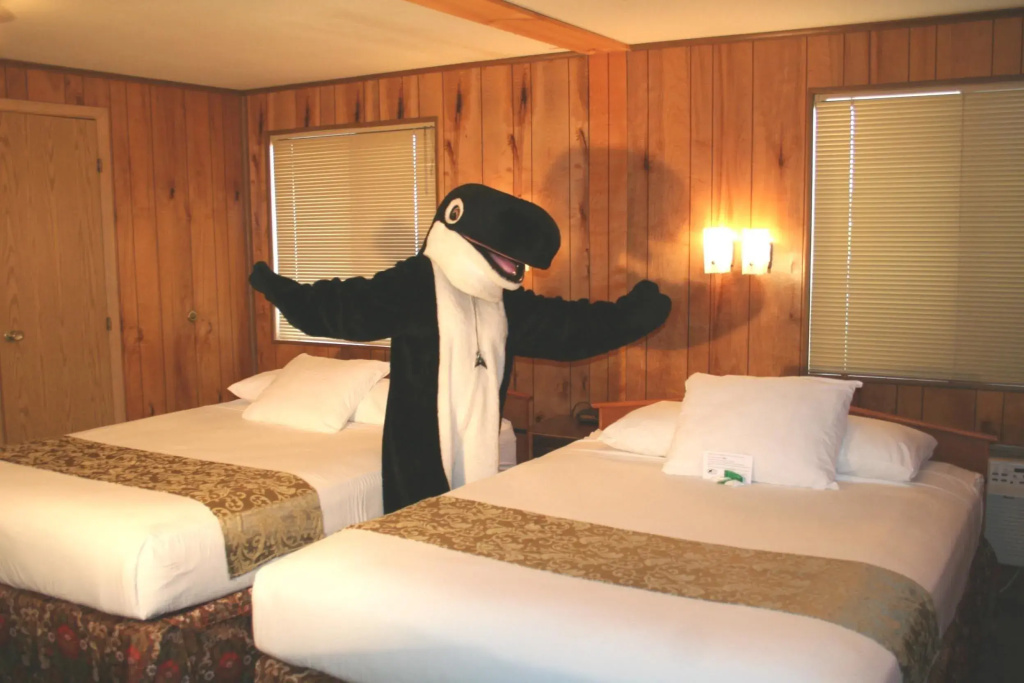 The Orca Inn - Chambres