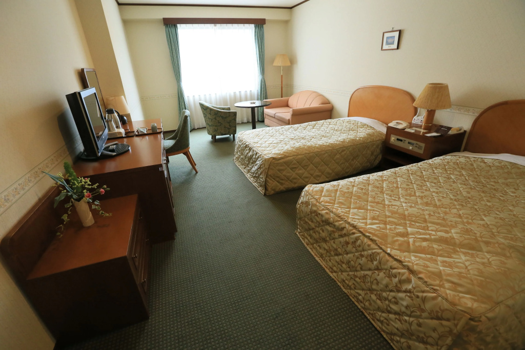 Standard Double room twin beds