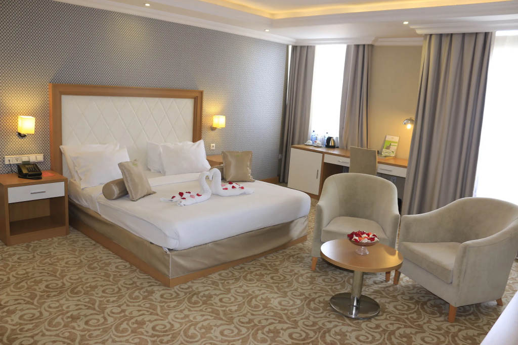 Standard Double room with balcony and with city view (full double bed)
