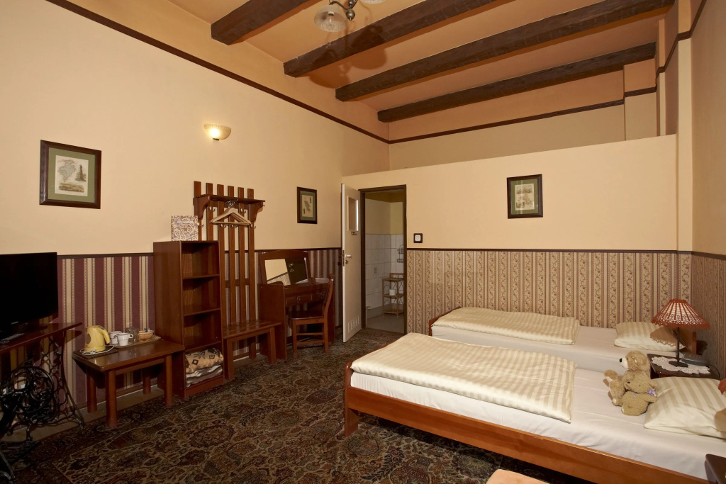 Standard Double room (full double bed)