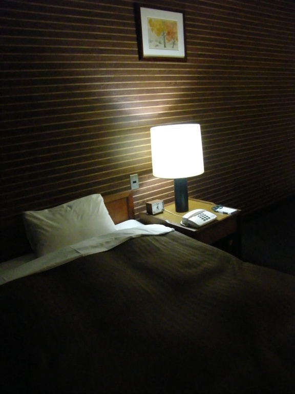 Hotel Sun Hitoyoshi - Chambres