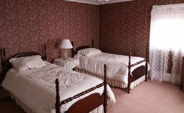 Standard Double room with river view (twin beds)