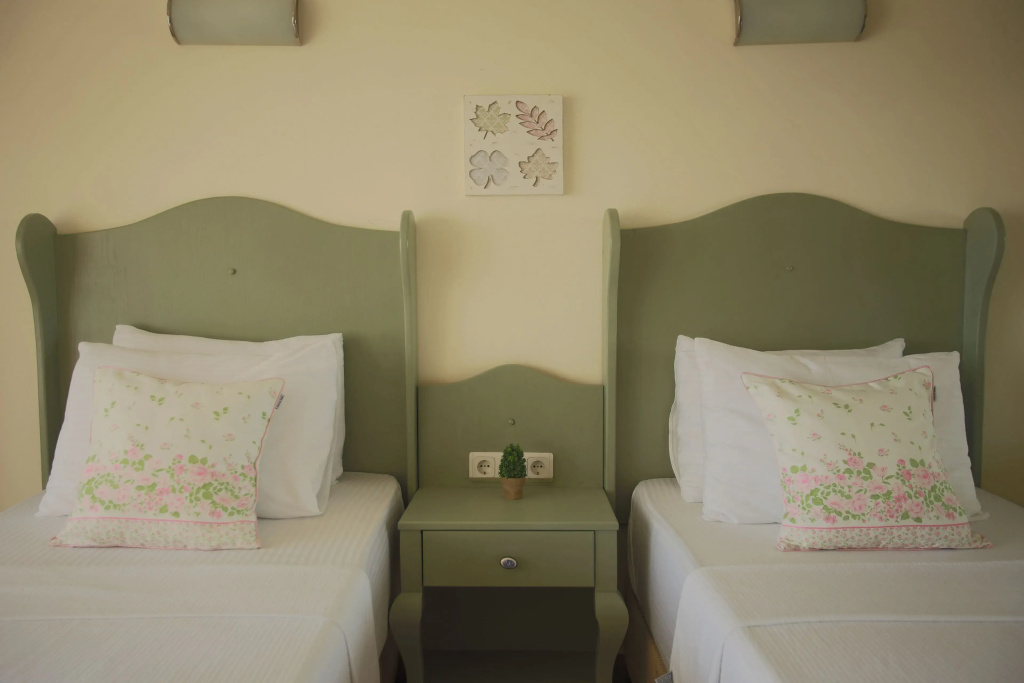 Standard Double room (twin beds)