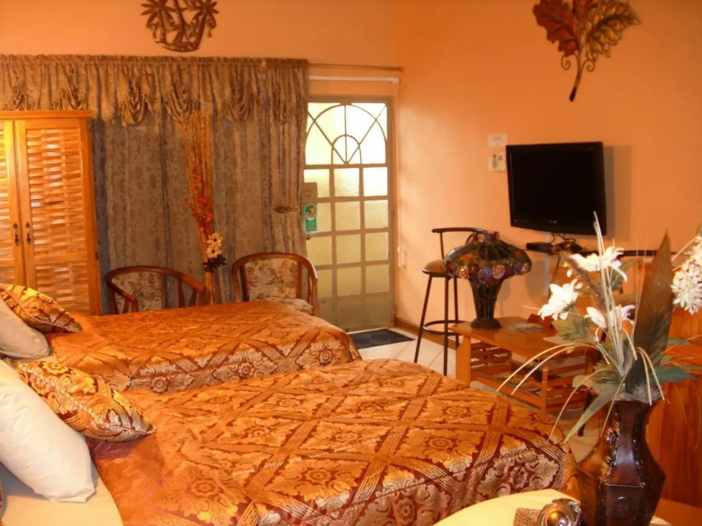 Deluxe Double room (twin beds)
