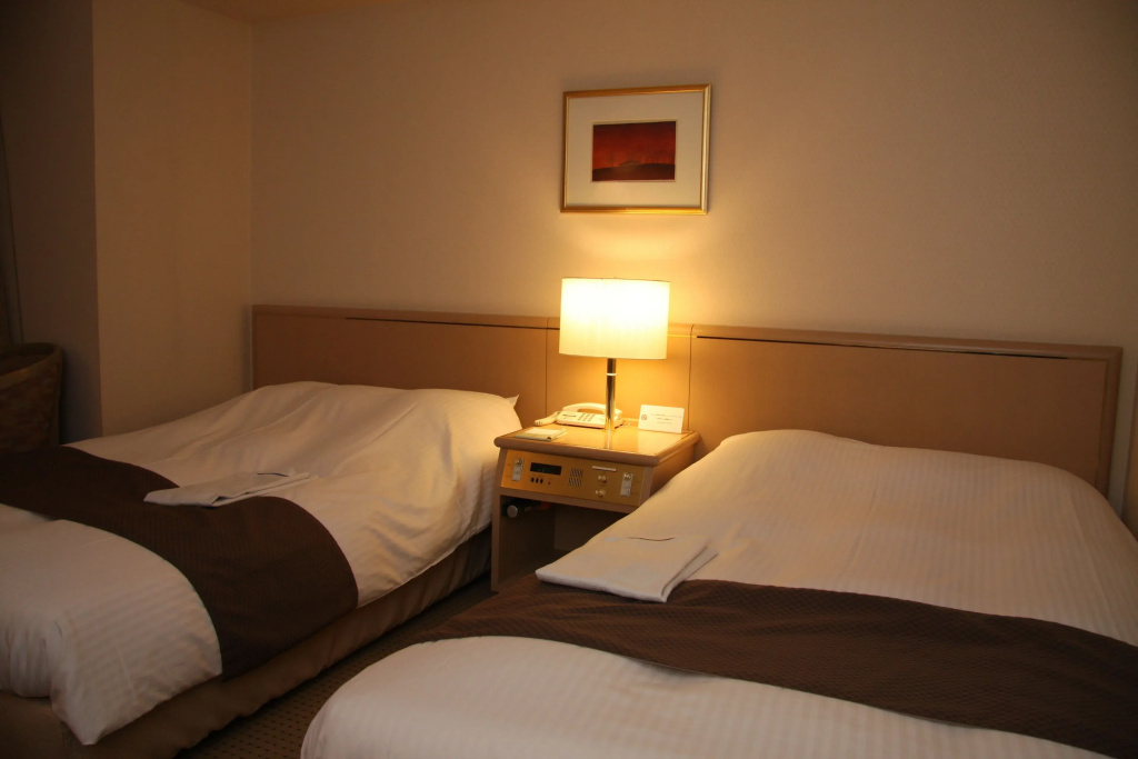 Standard Double room (twin beds)