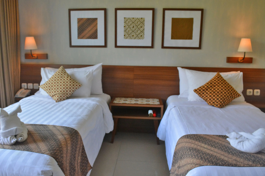 Deluxe Double room (twin beds)