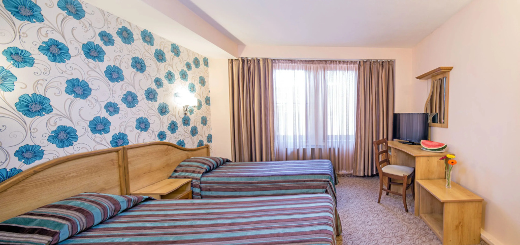 Standard Double room (full double bed)