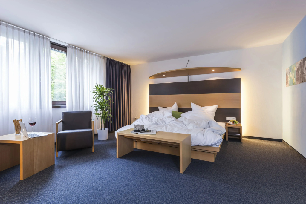 Standard Double room (full double bed)