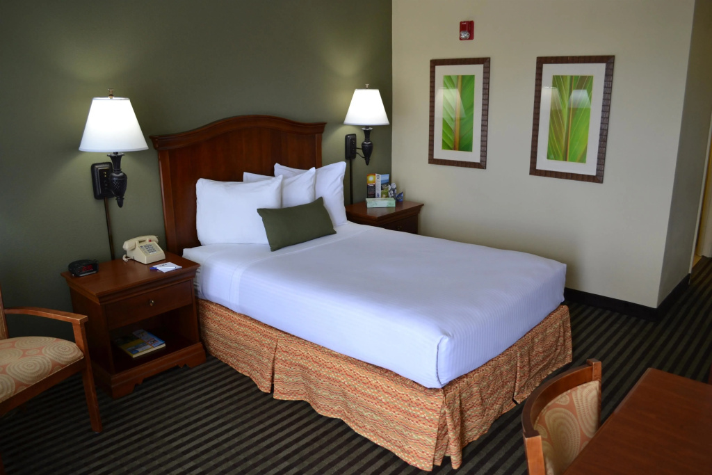 Standard Double room (full double bed)
