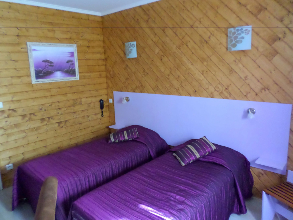 Standard Double room (twin beds)
