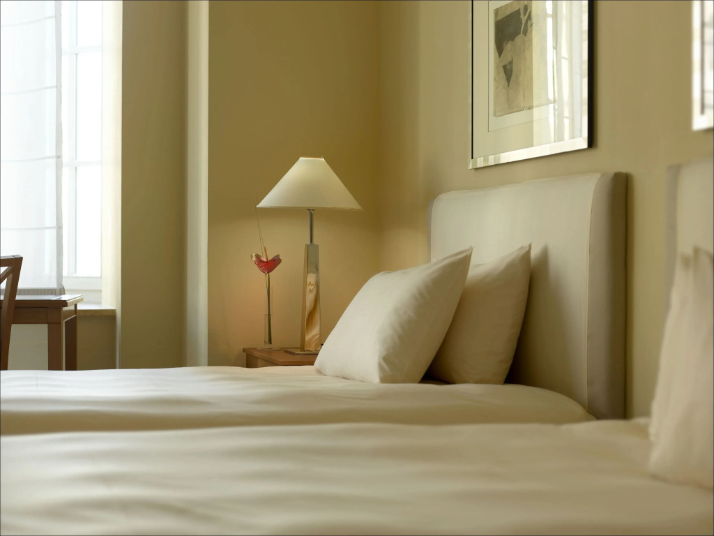 Deluxe Double room (twin beds)