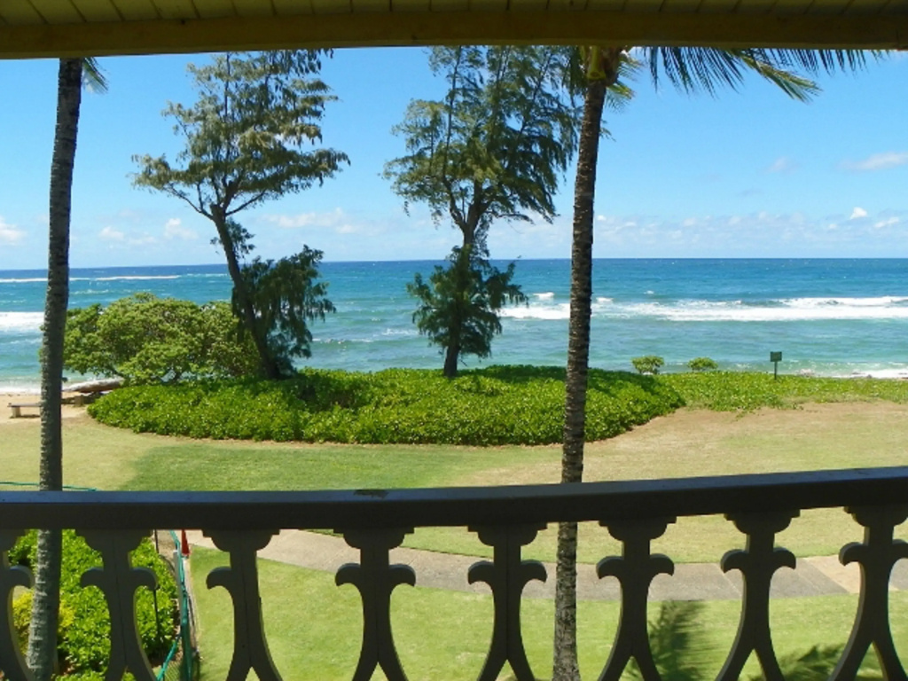 Standard Double room oceanfront (full double bed)