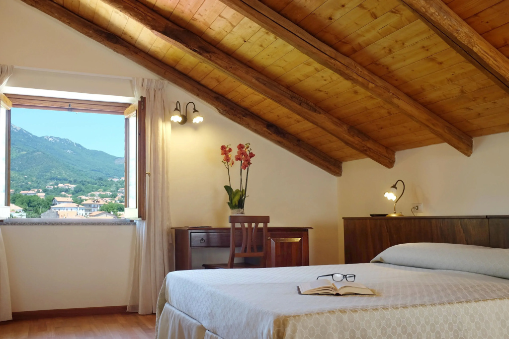 Standard Double room (full double bed)