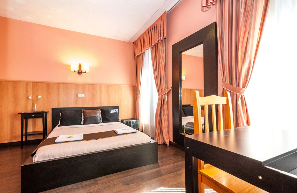 Standard Double room (full double bed)