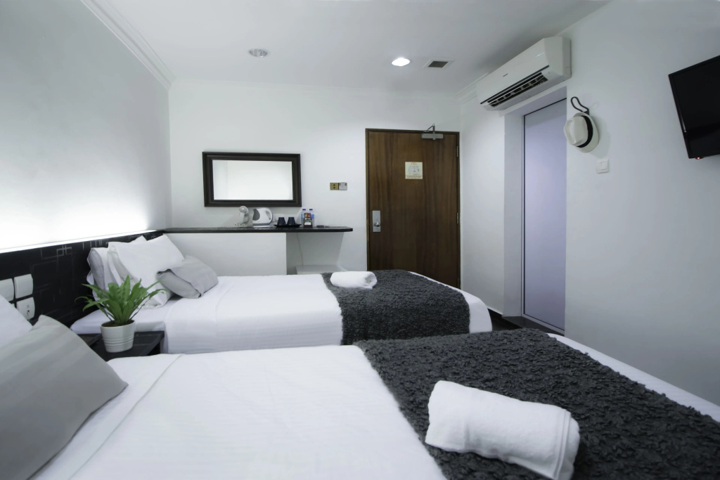 Deluxe Double room (twin beds)