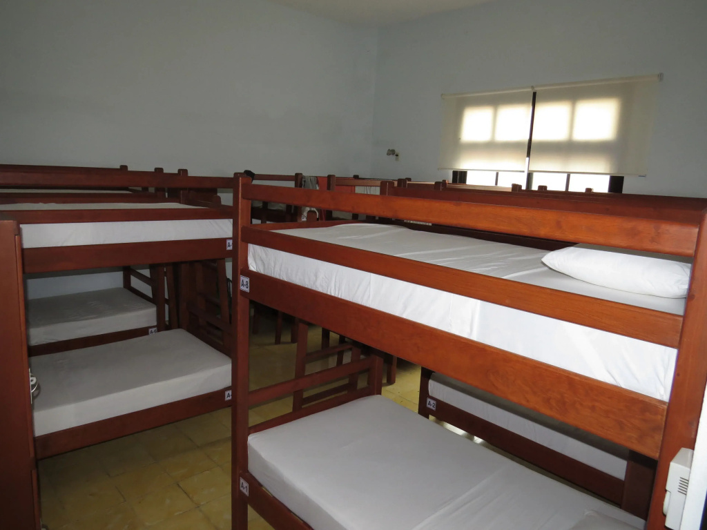 Bed in Dorm