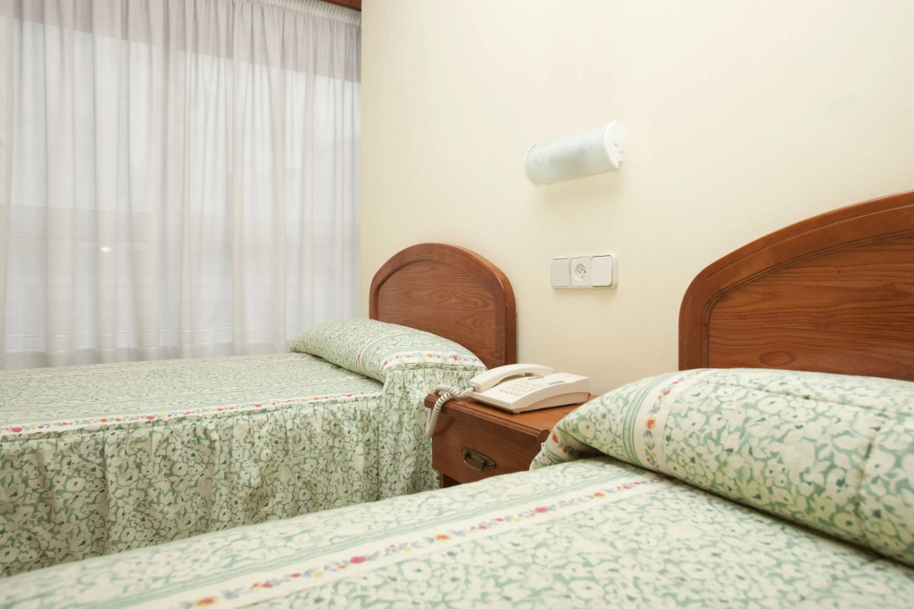 Standard Double room (twin beds)