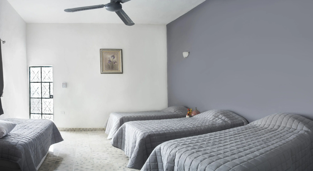 Bed in Dorm
