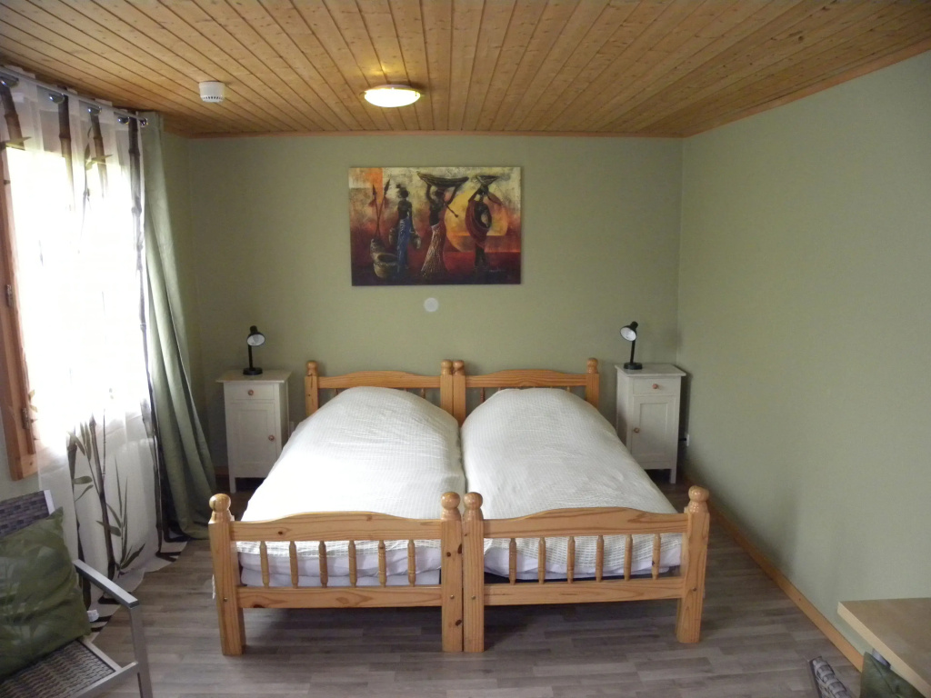 Standard Double room (twin beds)