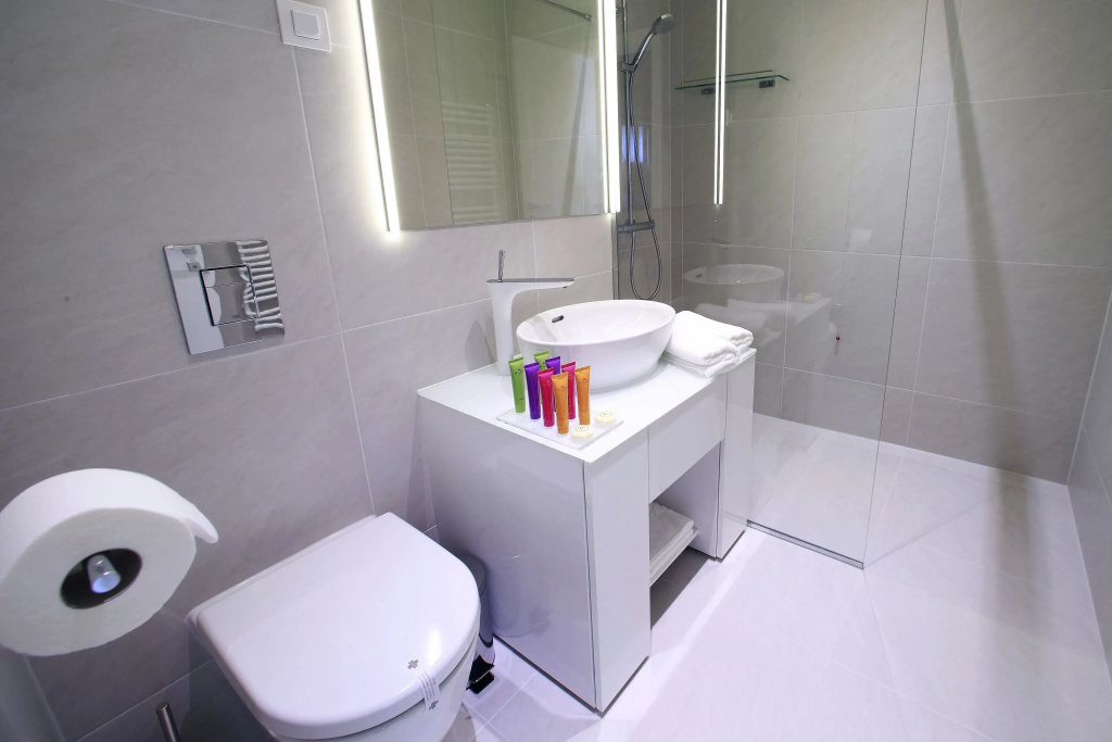 Standard Double room (full double bed)