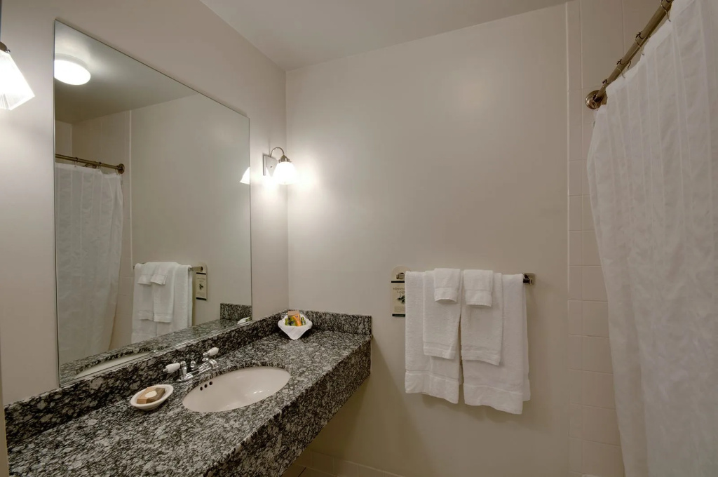 Standard Quadruple room with land view