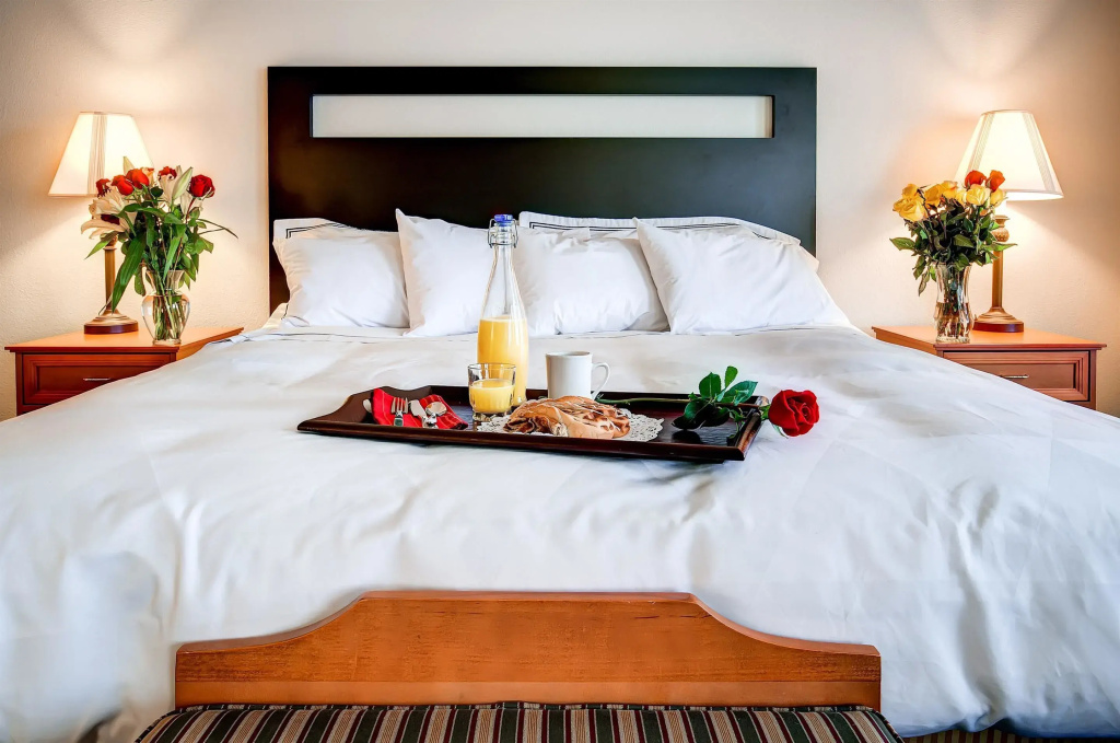Best Western Plus Plaza Hotel - Chambres