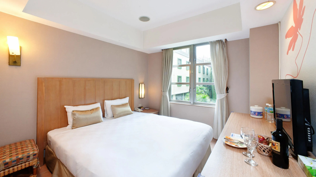 Standard Double room with mountain view (full double bed)