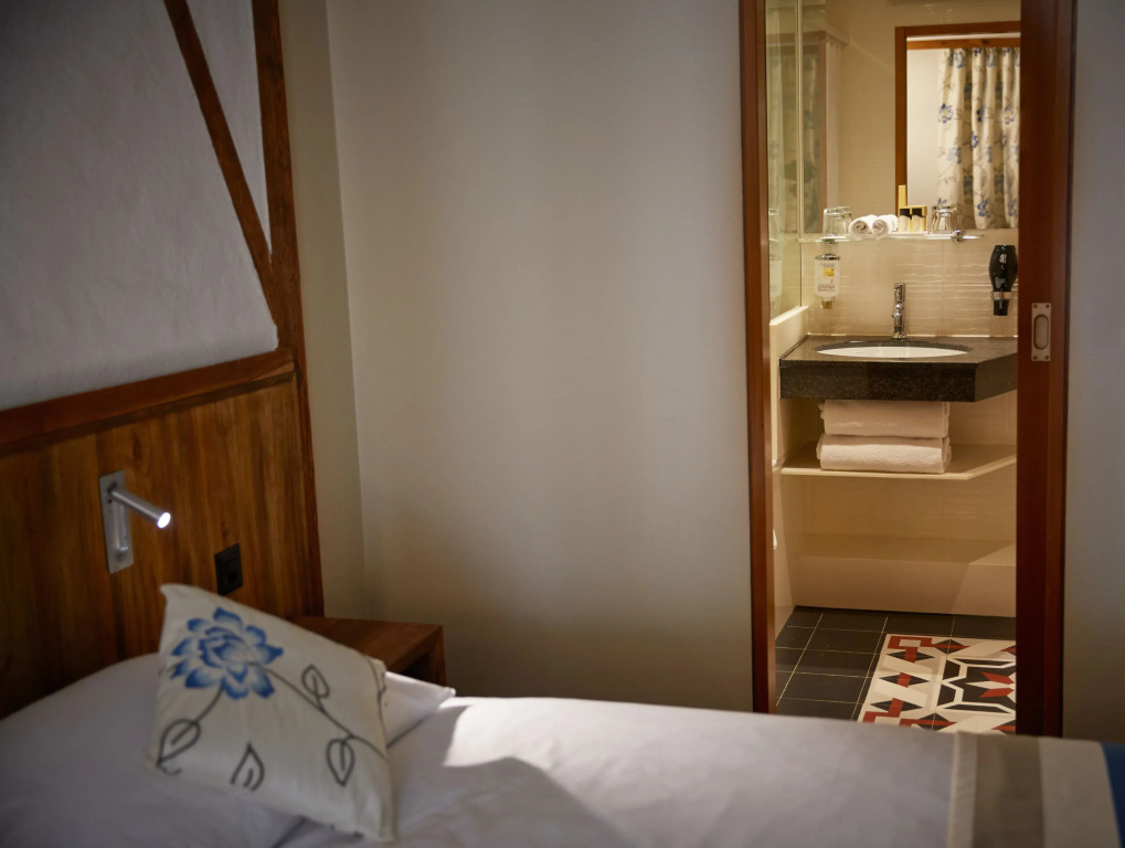 Standard Double room with city view (twin beds)