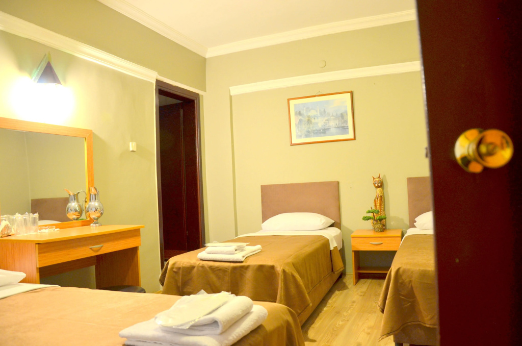 Economy Triple room with city view
