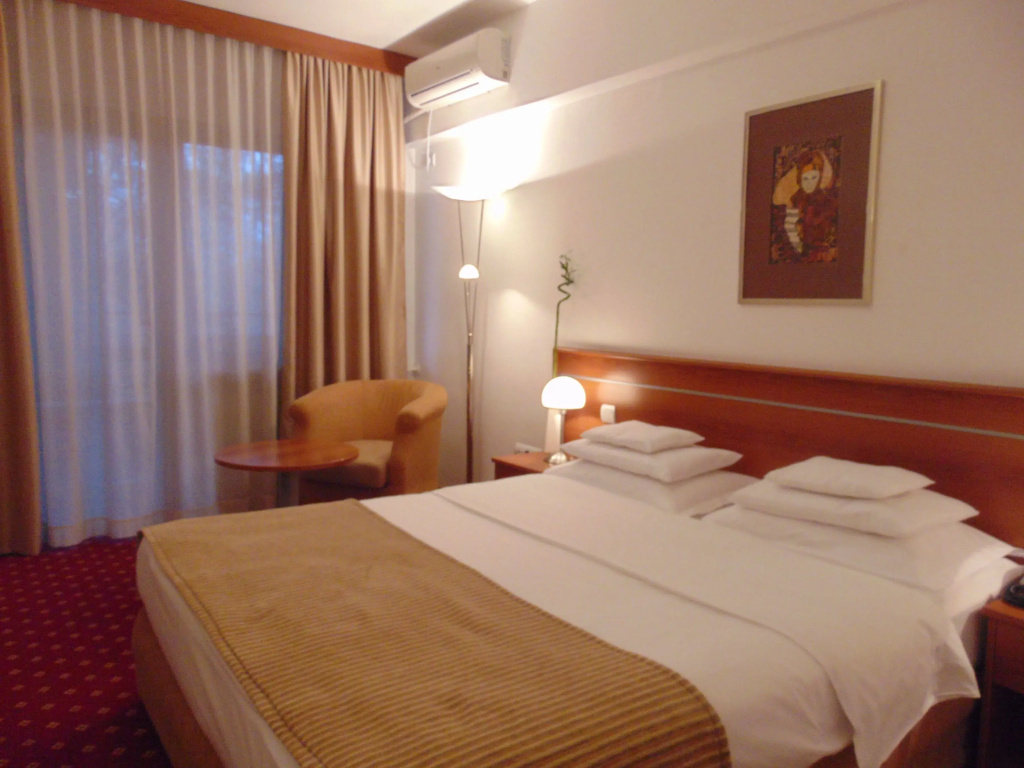 Standard Double room (full double bed)