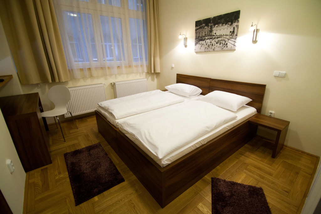 Standard Double room (full double bed)