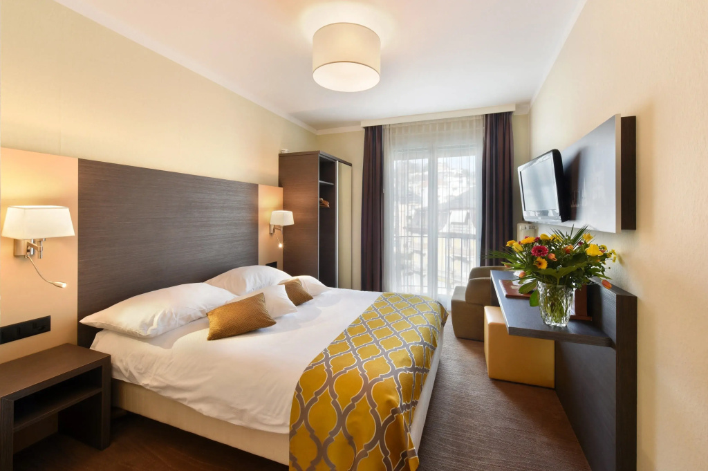 Standard Double room with city view (full double bed)
