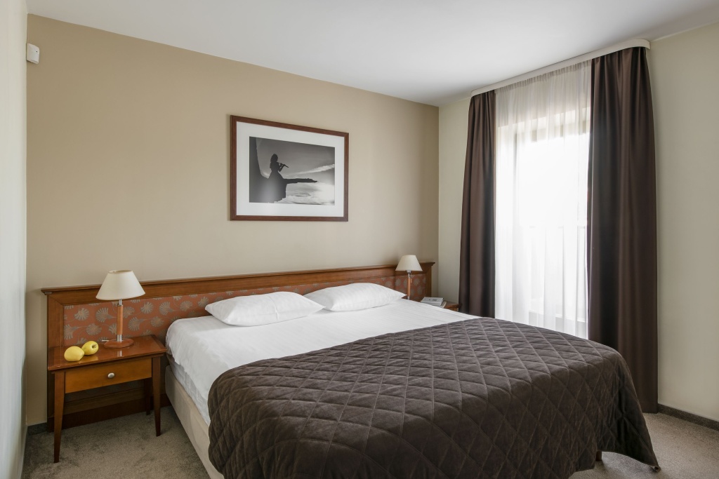 Standard Double room (full double bed) (no window, bed type is subject to availability)