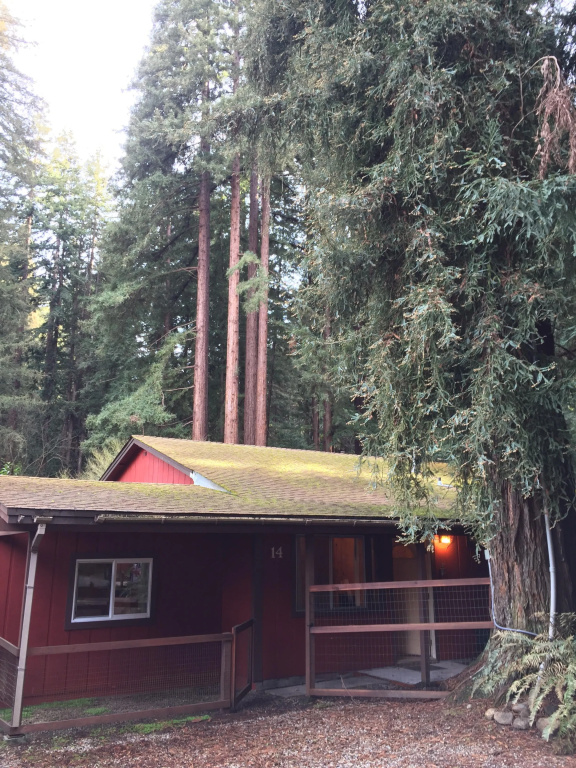 Presidential Cottage
