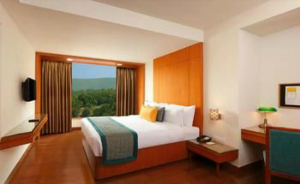 Lemon Tree Hotel, Dehradun - Chambres