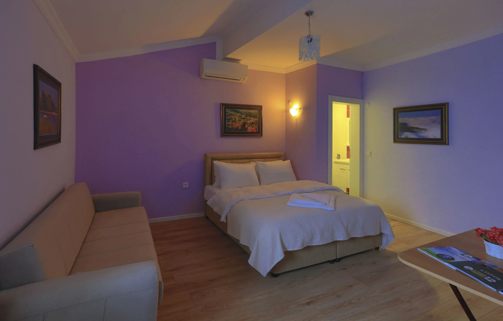 Standard Double room (full double bed)