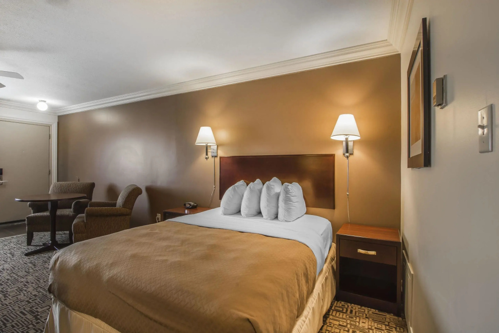 Standard Double room full double bed