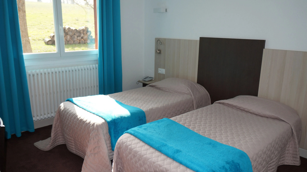 Standard Double room (twin beds)