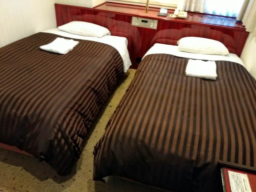Standard Double room (twin beds)