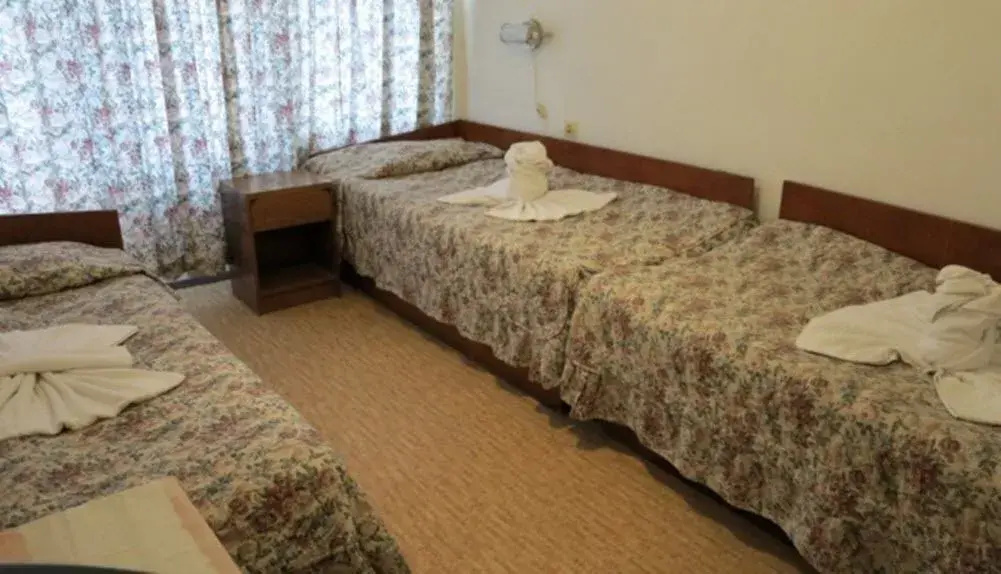 Standard Triple room with balcony