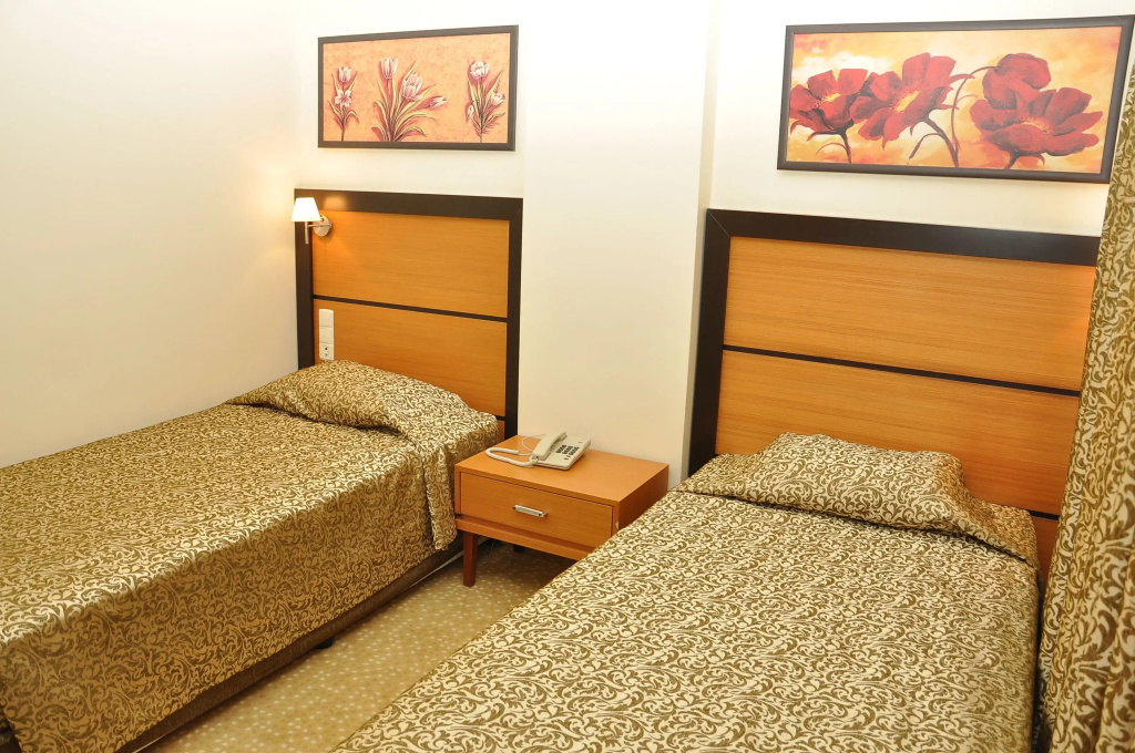 Standard Double room (full double bed)
